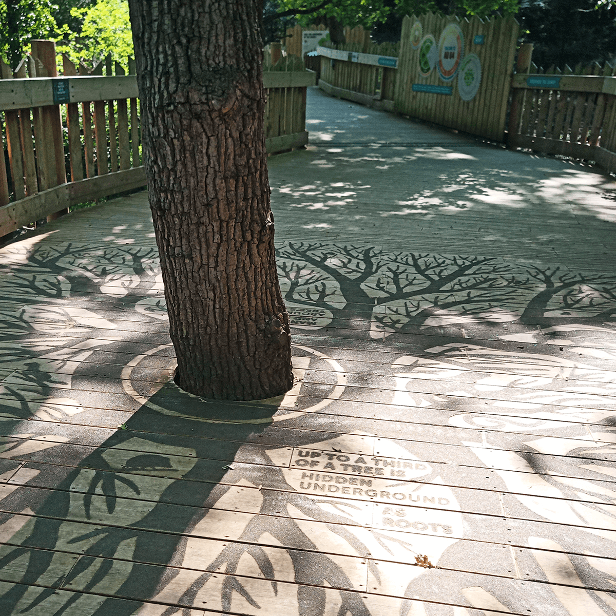 Theming graphic of a root system on the floor around a tree that grows through the middle of the walkway