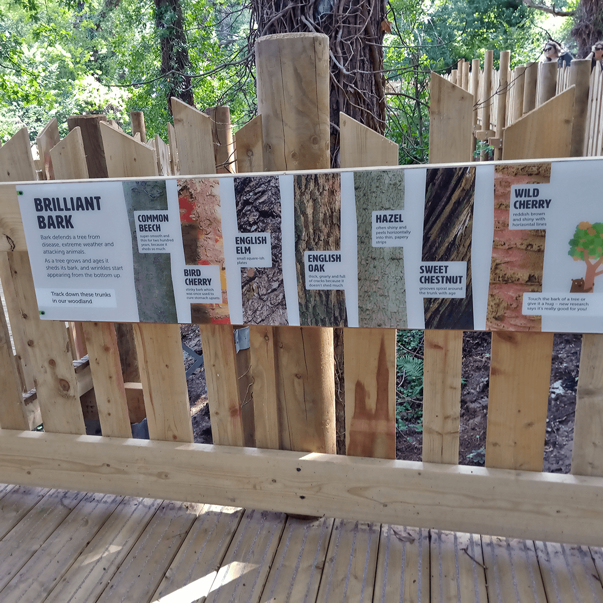 Brilliant bark panel on the walkway bannister comparing types of trees using pictures of their bark 