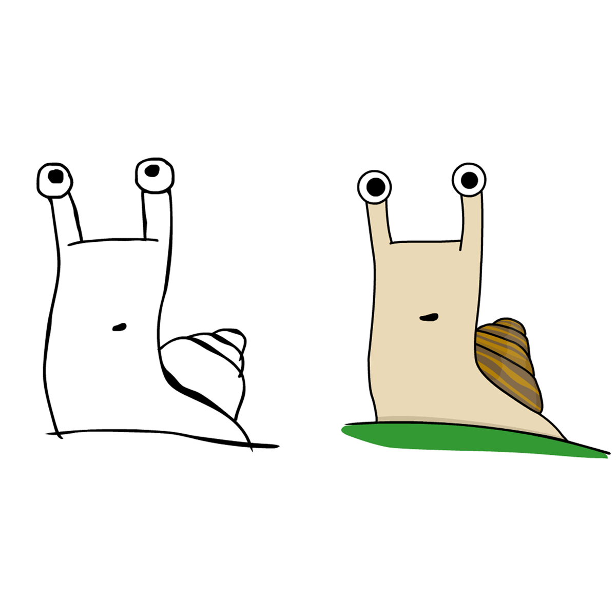 Character designs for Partula snail as outline sketch and final fully coloured version