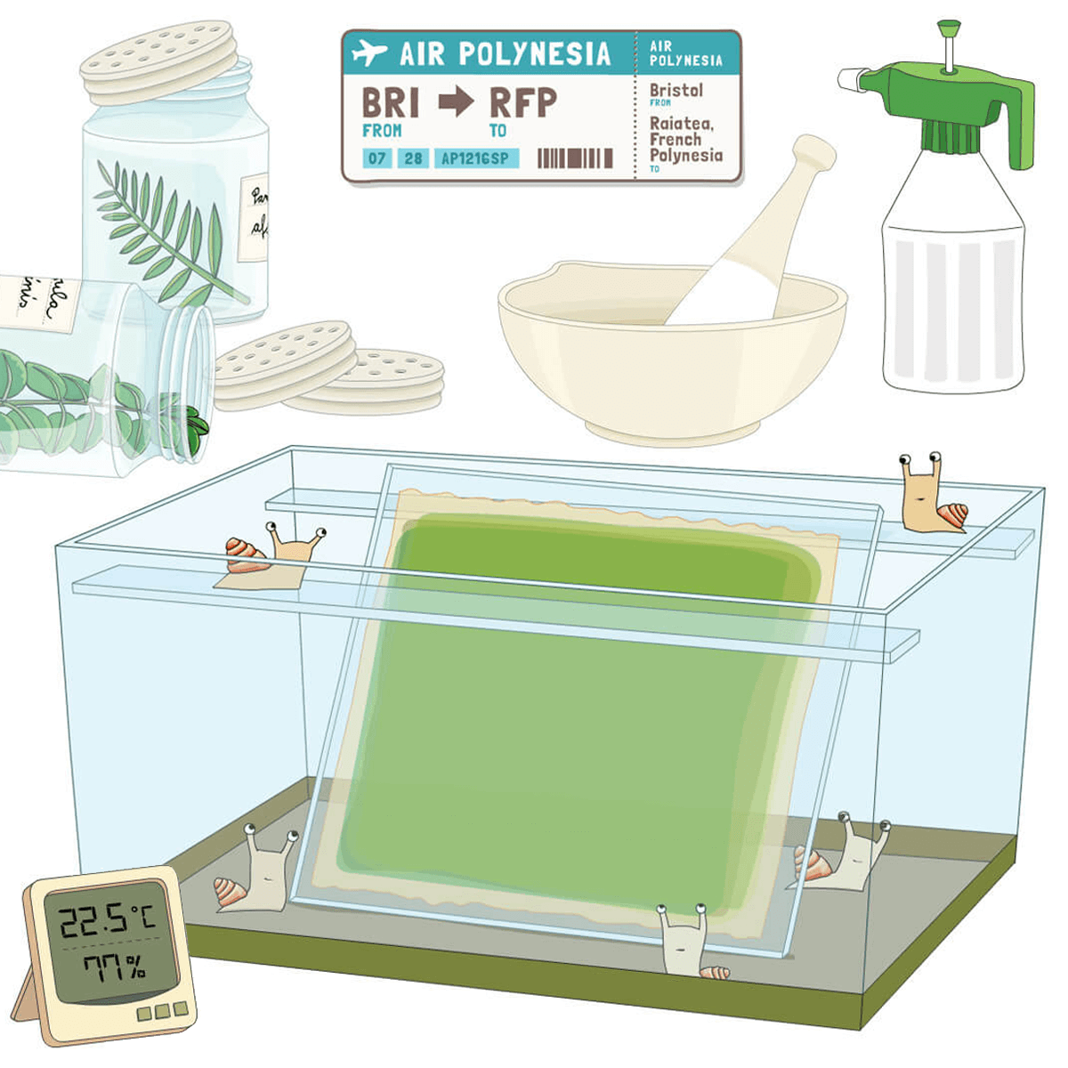 Background designs of glass tank and related husbandry props such as thermometer, sprayer, mortar and pestle as well as a plane ticket from Bristol to Raiatea, French Polynesia