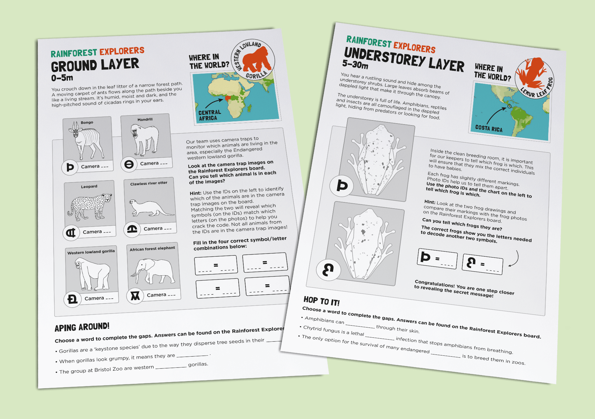 Worksheets for the ground layer with a quiz about camera trap images and the understorey layer with a lemur leaf frog identification quiz